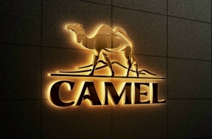 Camel